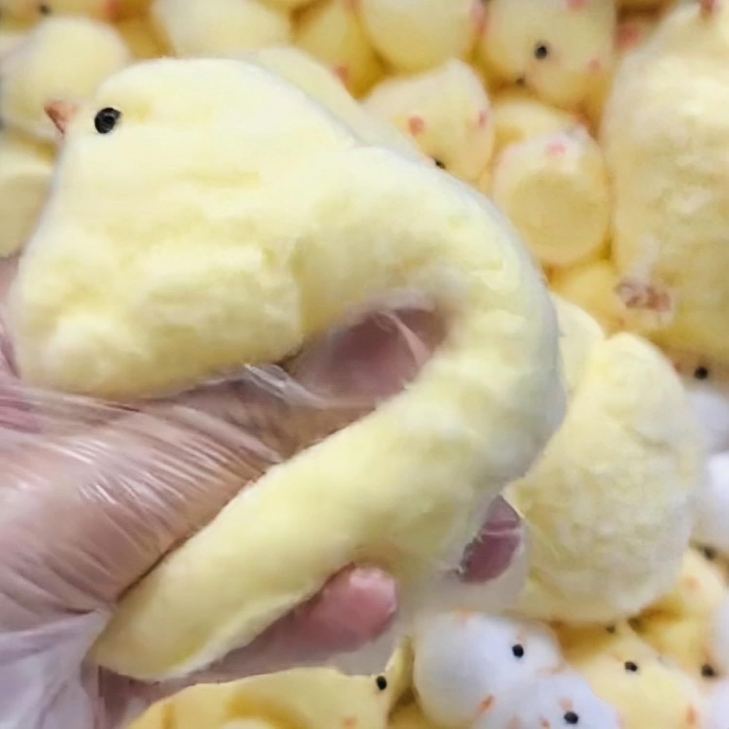 Handmade Chick Squeeze Toys Ultra Soft Squishy Fidget Toys Silicone Squishies Toys for Stress Relief Chicken 1pcs