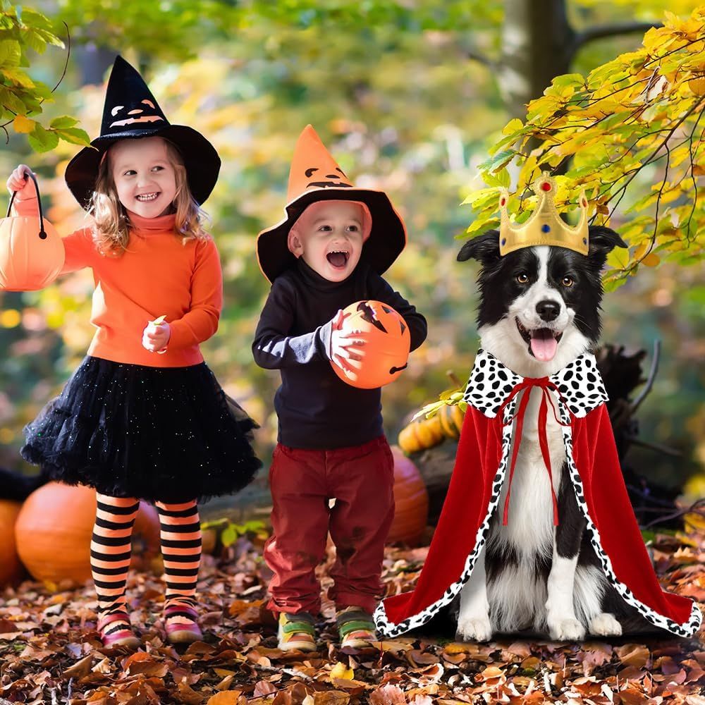 Halloween Dog King Cloak Costume,Cute Funny Halloween Dog King Cape with Crown Adjustable Pet King Cloak for Large Dogs Cats Cosplay Party Supplies Accessories L