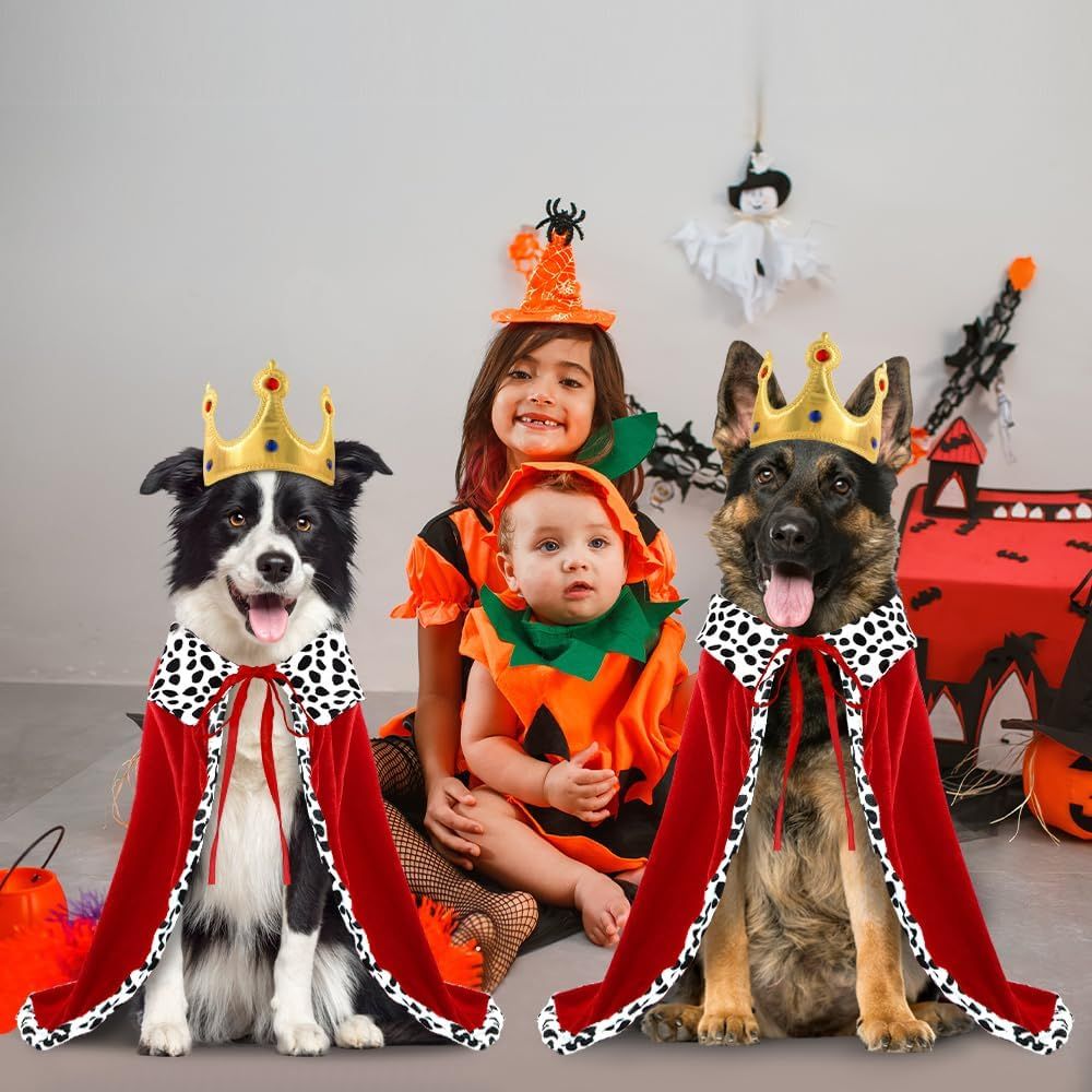 Halloween Dog King Cloak Costume,Cute Funny Halloween Dog King Cape with Crown Adjustable Pet King Cloak for Large Dogs Cats Cosplay Party Supplies Accessories L