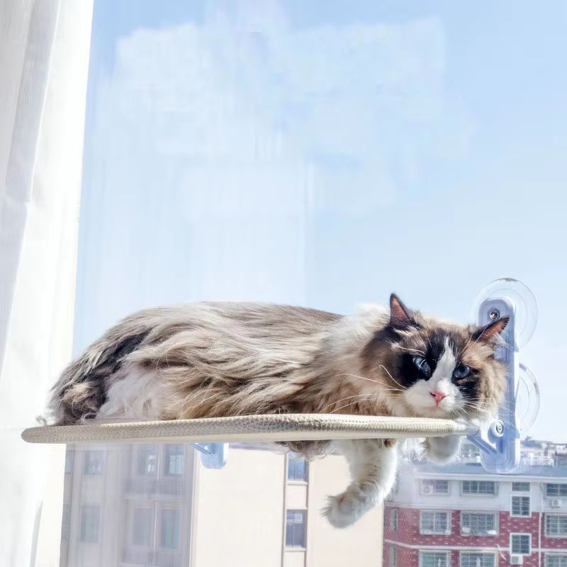 Foldable Window Mount Cat Hammock Suction Cup Hanging Bed All Season