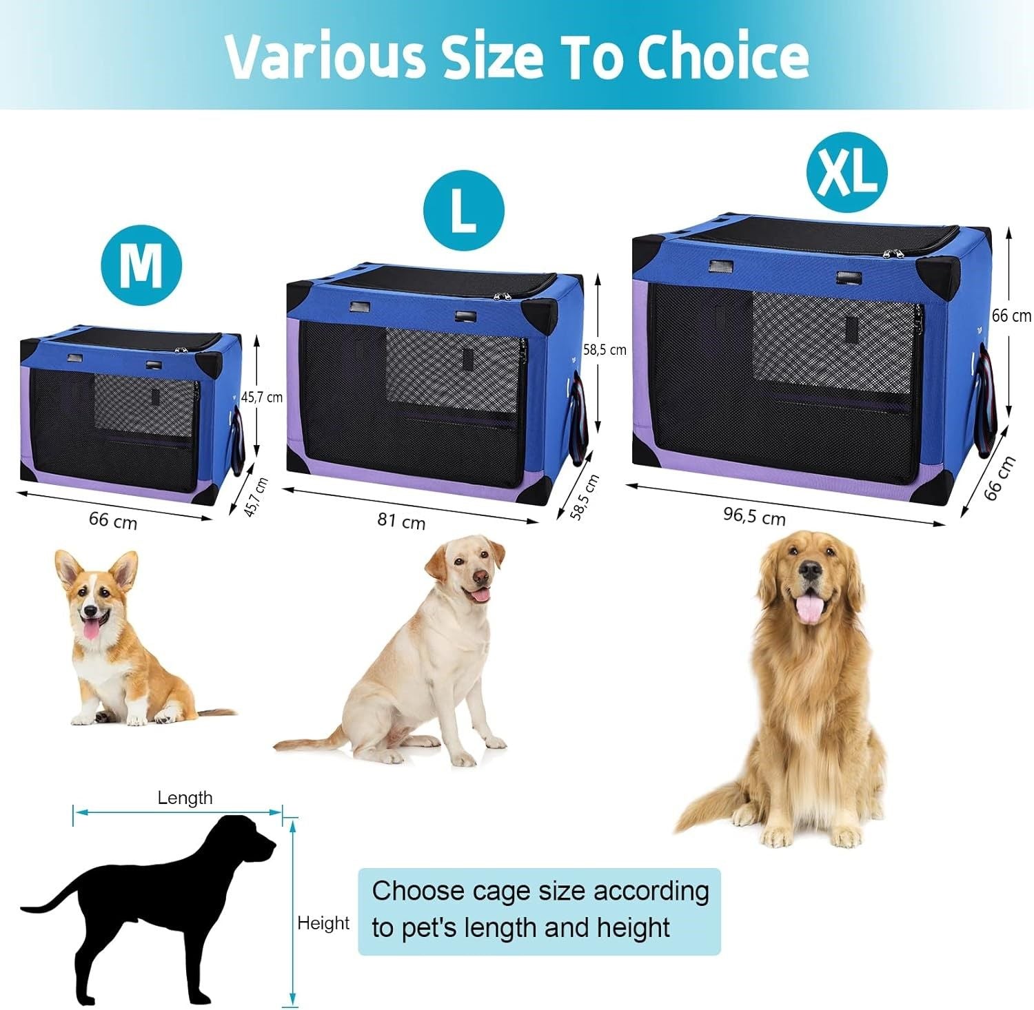 Collapsible Portable Dog Crate with Mesh Doors, Blue Purple