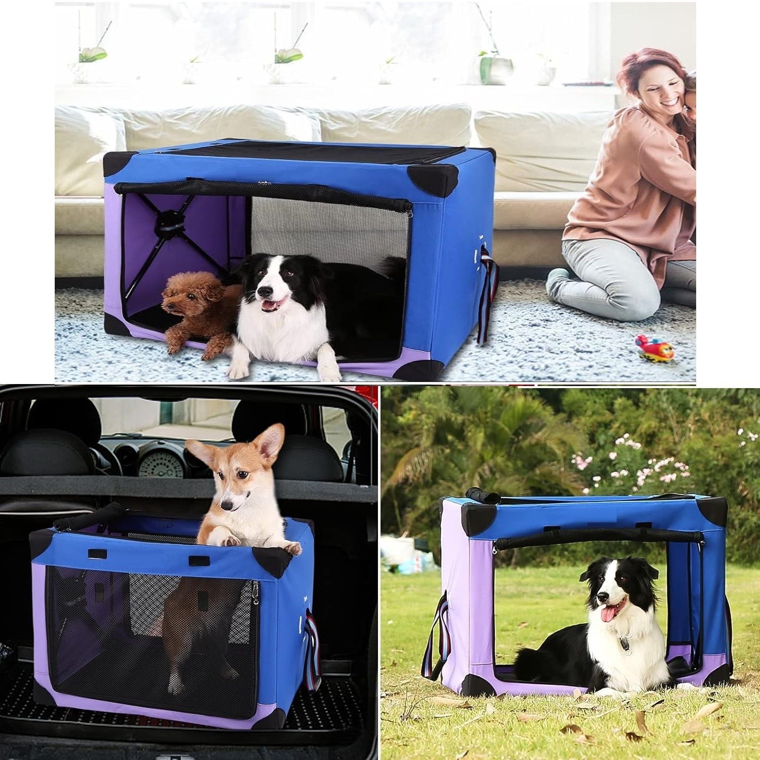 Collapsible Portable Dog Crate with Mesh Doors, Blue Purple