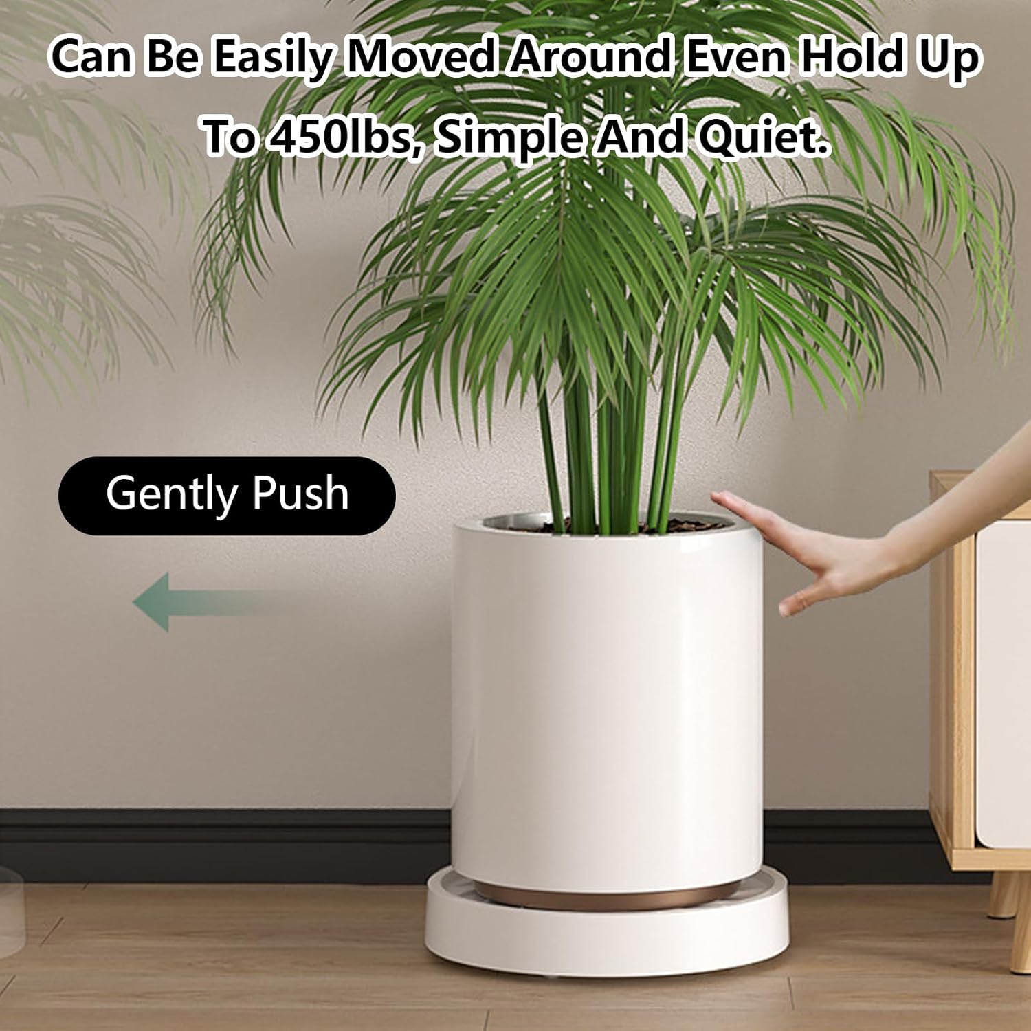 CARLA HOME 2-Pack Rolling Plant Stand with 360° Wheels for Indoor Pots 26 cm