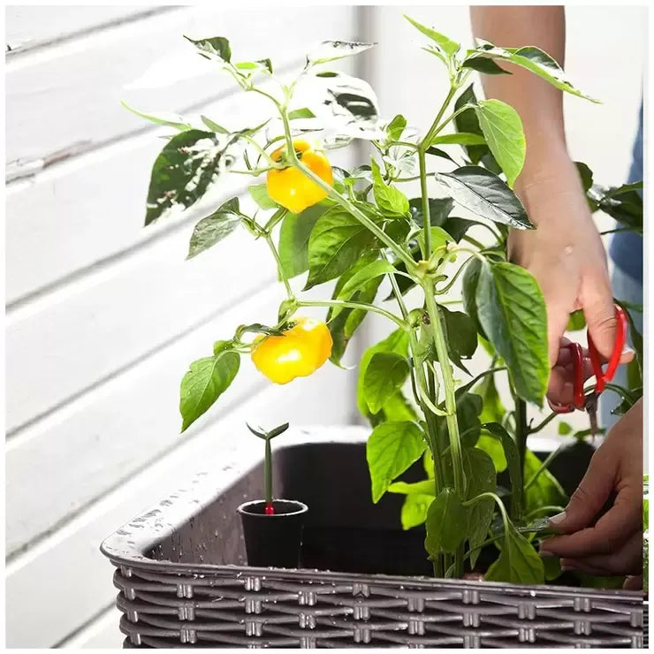 Dark Brown Easy Grow Planter Bed Brown with Water Gauge and Drainage System