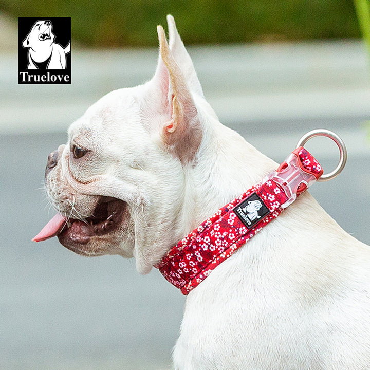 Padded Floral Dog Collar with Snap Buckle, O Ring, XL