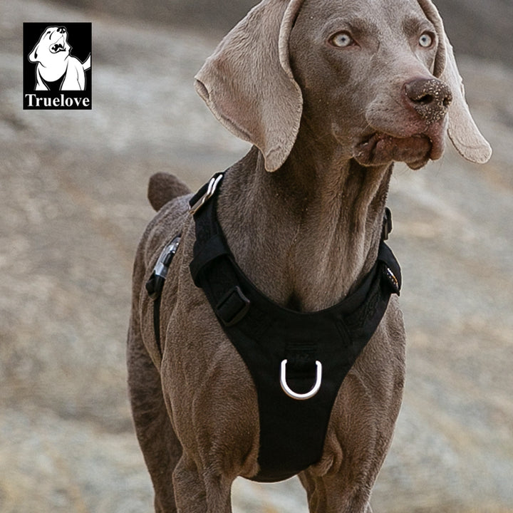 Lightweight Waterproof Dog Harness, Cordura Fabric, Small