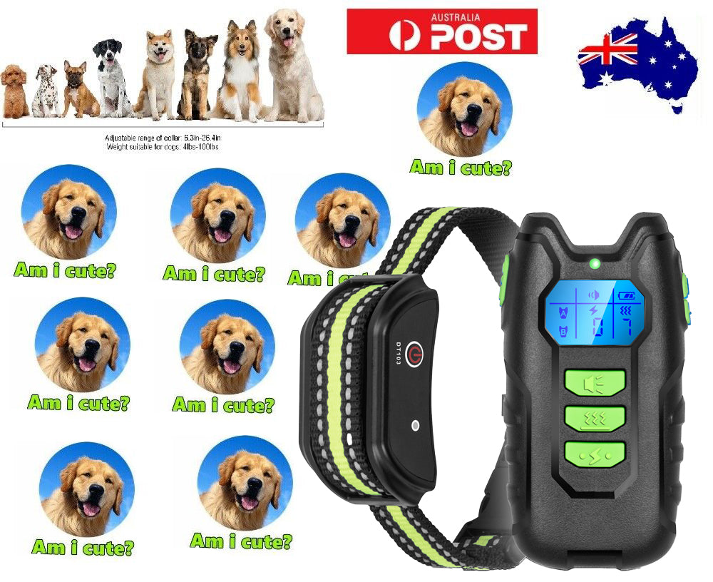 IP67 Waterproof Electric Dog Training Collar, Sound, Vibration, USB Rechargeable, 1000m Range