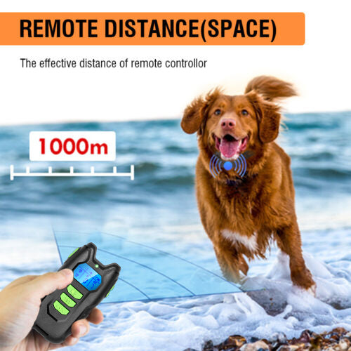 IP67 Waterproof Electric Dog Training Collar, Sound, Vibration, USB Rechargeable, 1000m Range