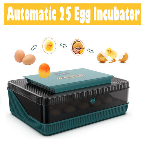 Automatic 25 Egg Incubator with LED Light & Temp Control