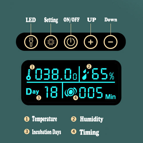 Automatic 25 Egg Incubator with LED Light & Temp Control