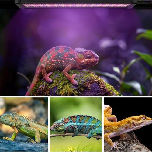 30cm Adjustable Reptile 5.0UVA UVB Lamps LED Light for Reptile Tanks Pet Lighting System