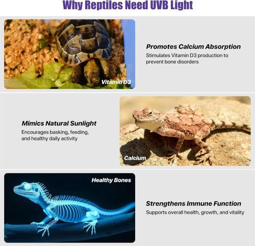 40cm Adjustable Reptile 10.0UVA UVB Lamps LED Light for Reptile Tanks Pet Lighting System