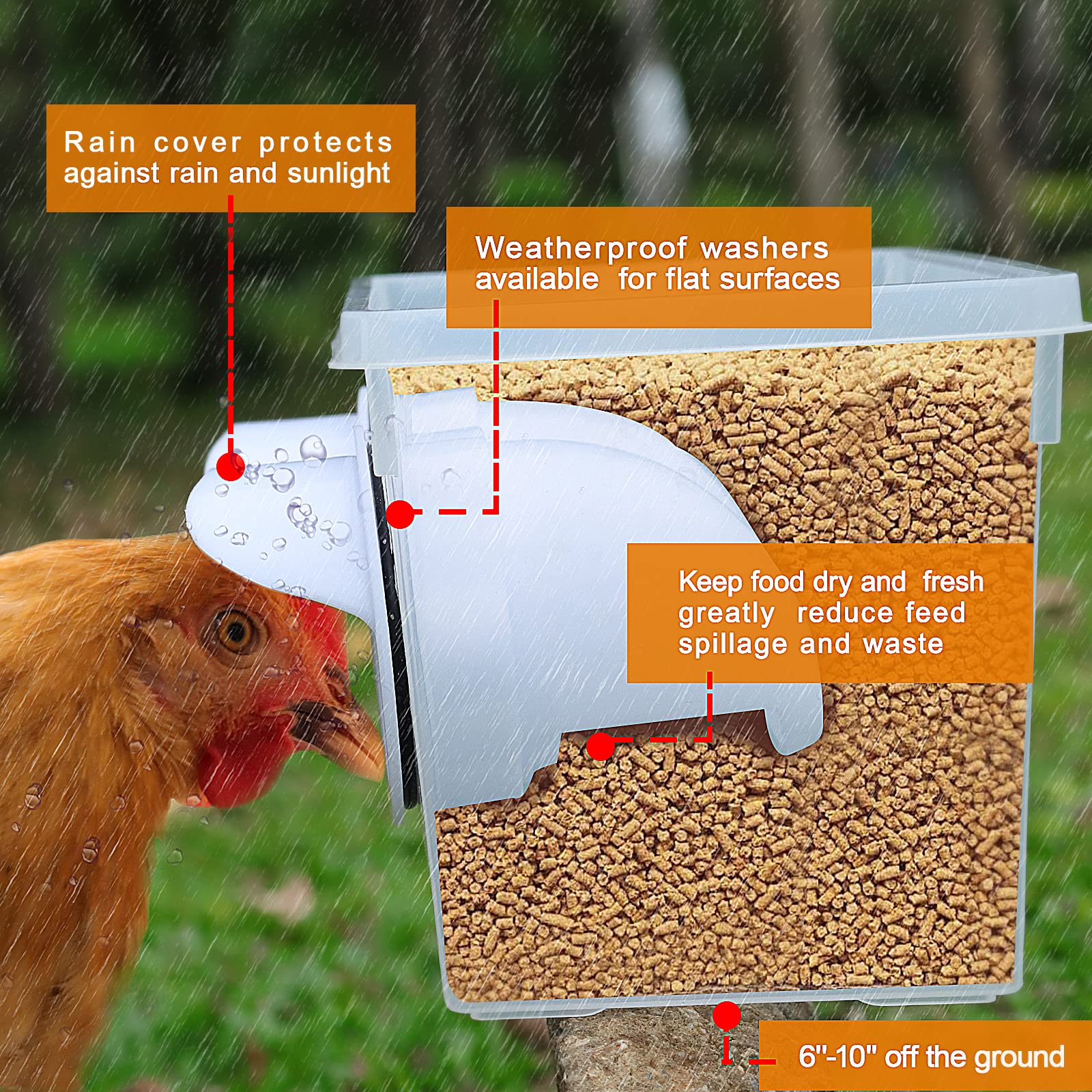 Waterproof DIY 4-Port Gravity Chicken Feeder Kit