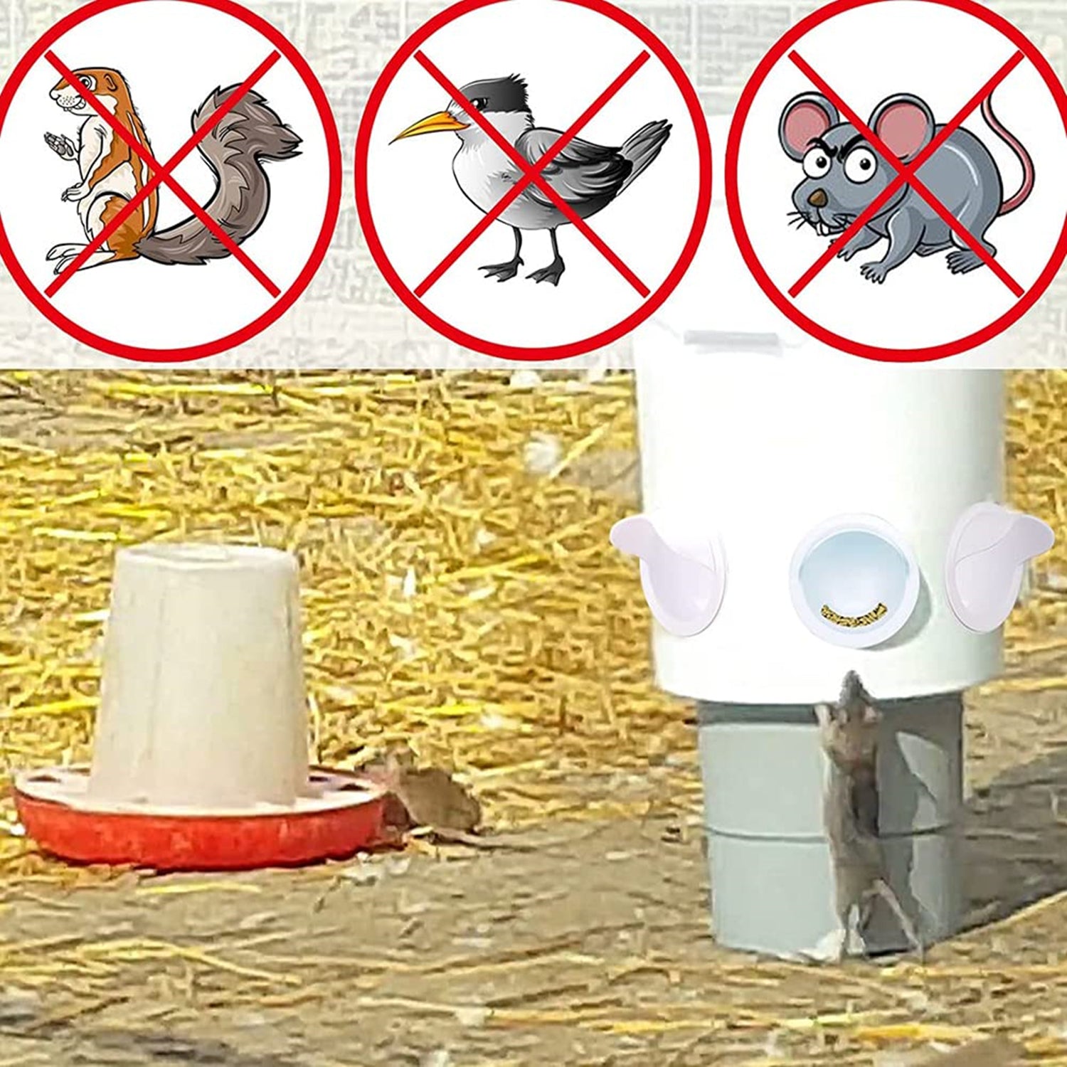 Durable 6 Port PVC Chicken Feeder Kit, No Waste, Waterproof