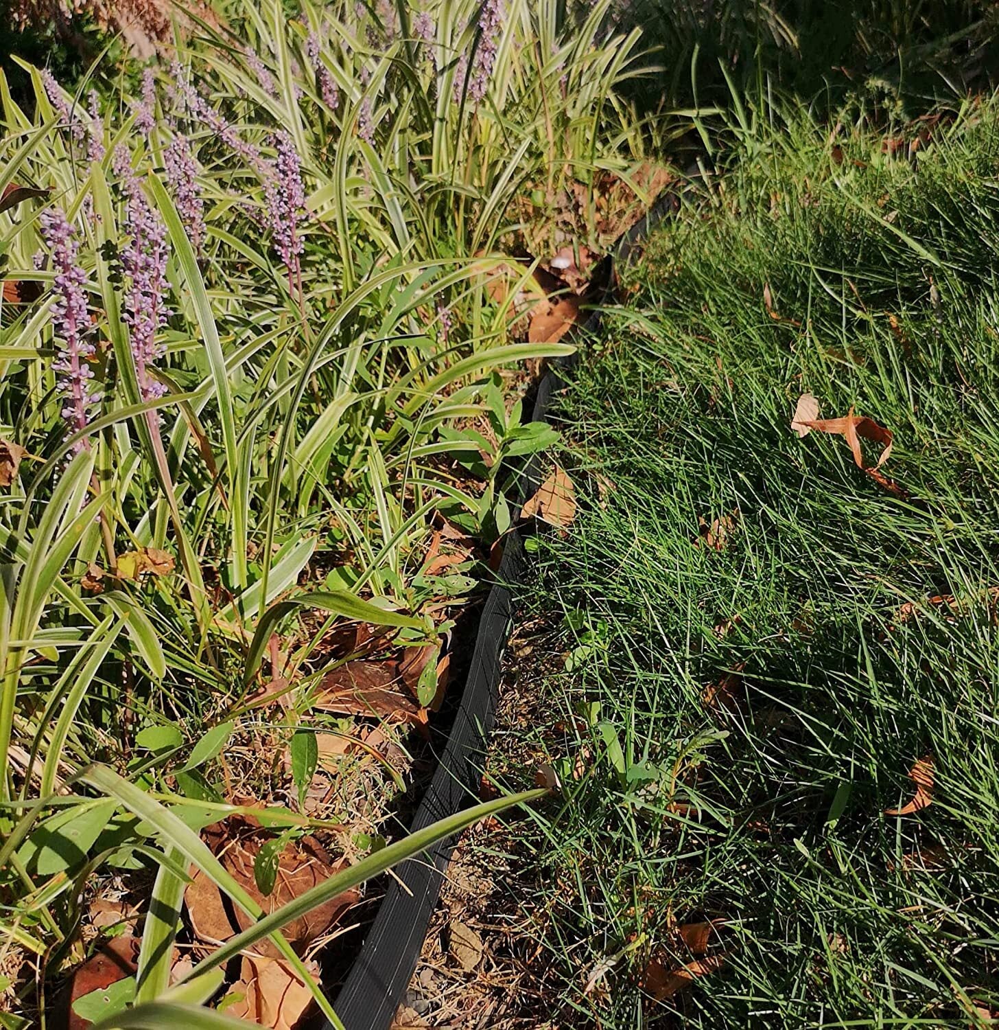 10M Fence Landscape Garden Lawn Edging Border Flexible Plant Grass Barrier