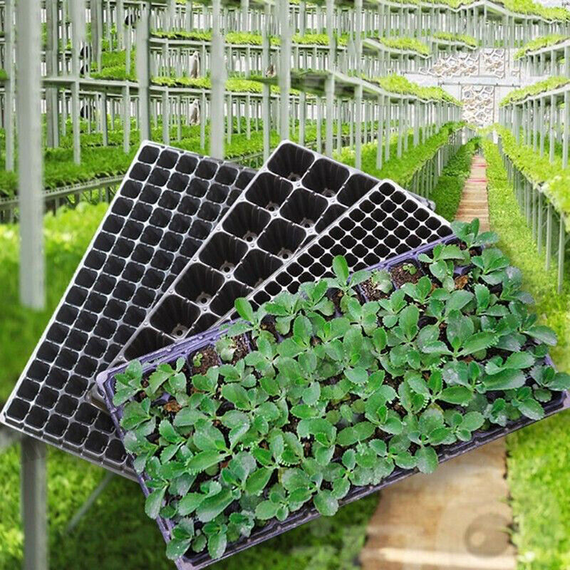 12x PVC 72-Hole Seedling Starter Trays, Durable, Reusable