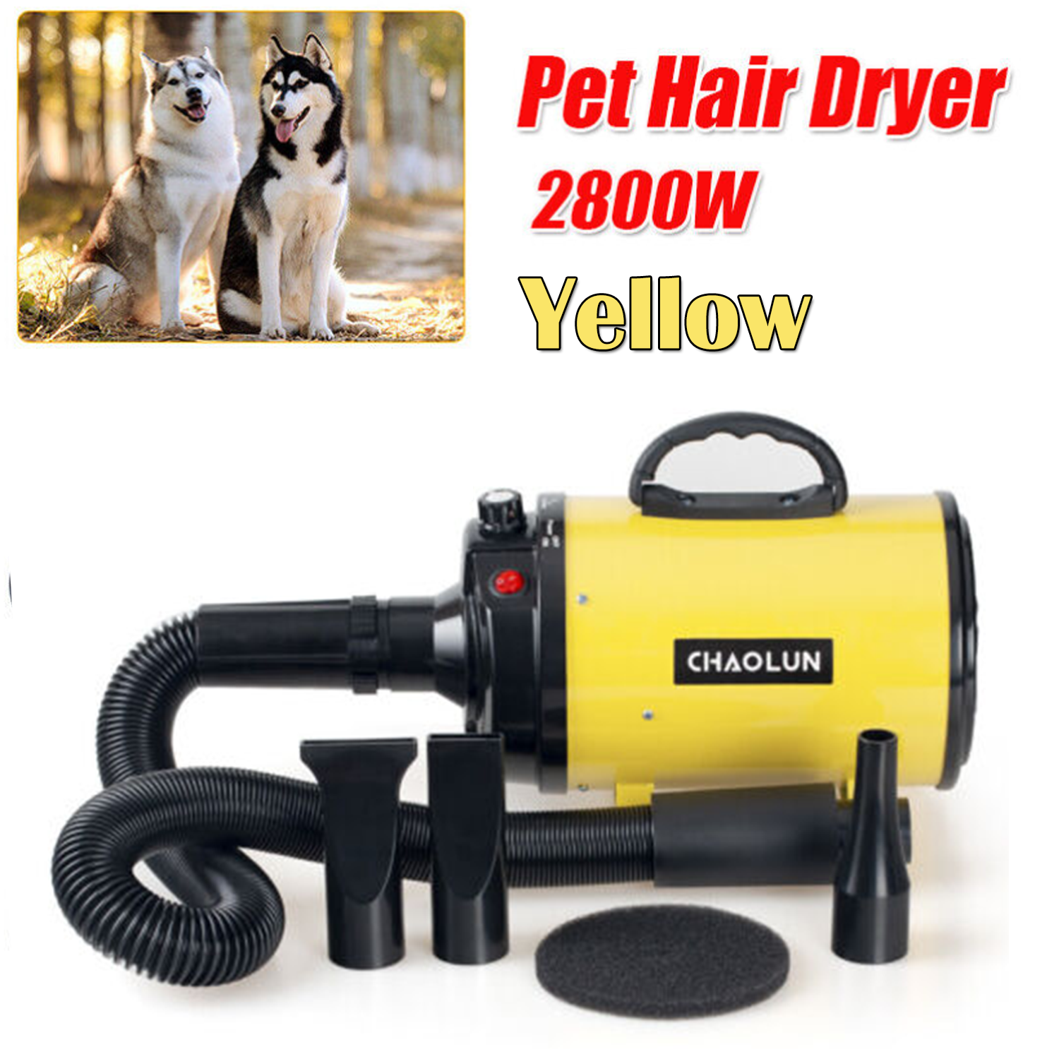 2800W Pet Hair Dryer with Stepless Speed & Heater, 3 Nozzles