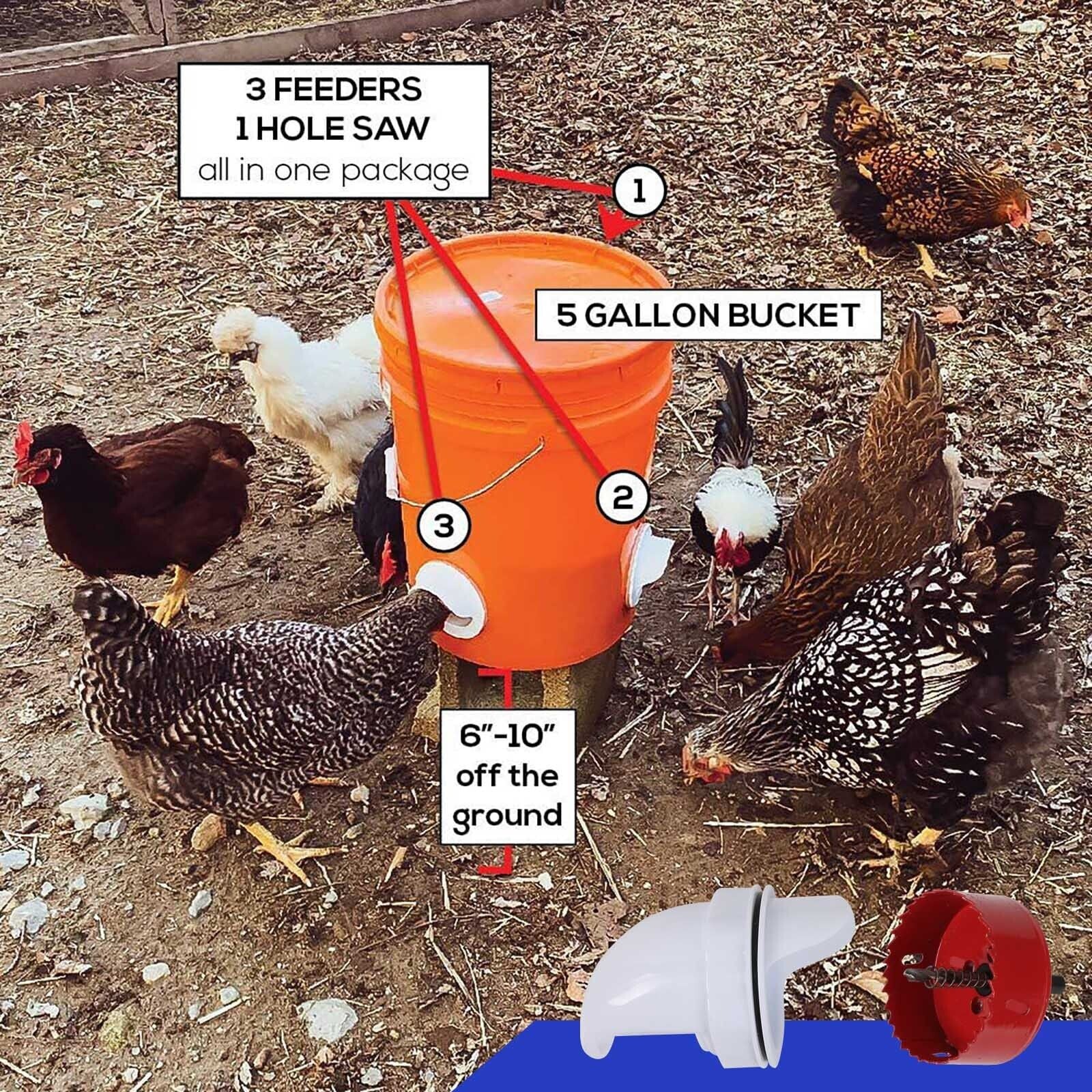 Waterproof PVC Gravity Auto Chicken Feeder - 4 Ports