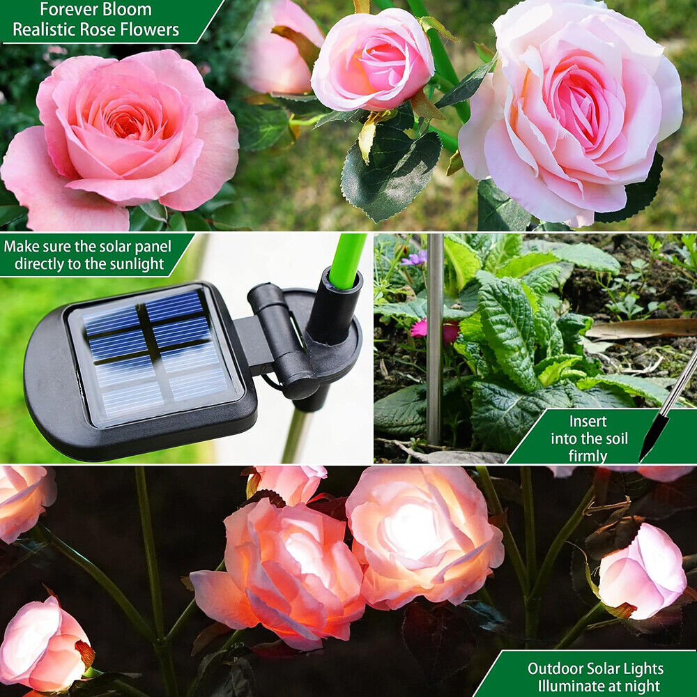 Waterproof Solar Garden Rose Lights, Brighter Petals, 75cm, 5 LEDs