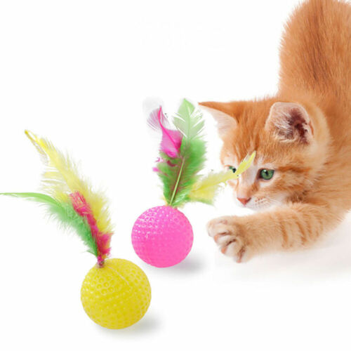 33pcs Interactive Cat Toys Durable Chew Clean Set | AU