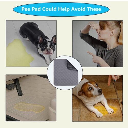 Washable Absorbent Dog Pee Pad, Leakproof Training Mat, 100X70cm