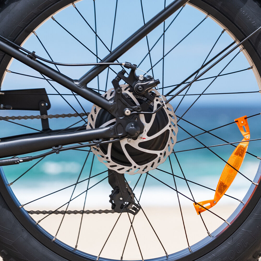 Valk Medium Electric Fat Tyre Cruiser Bike Matte Black