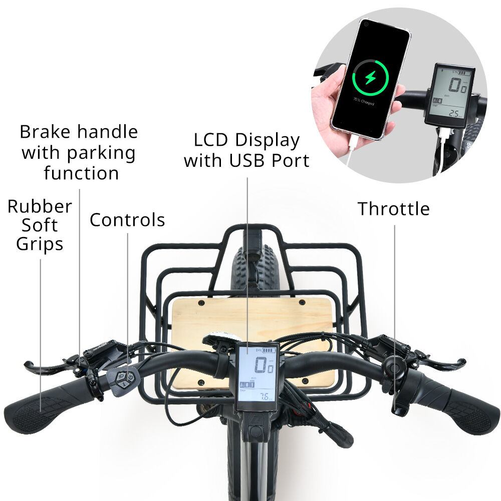 Zeus 500W Electric Fat Tyre Tricycle Black