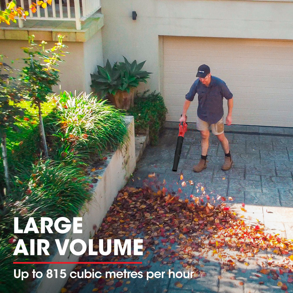 BW3 20V Cordless Leaf Blower Skin Only