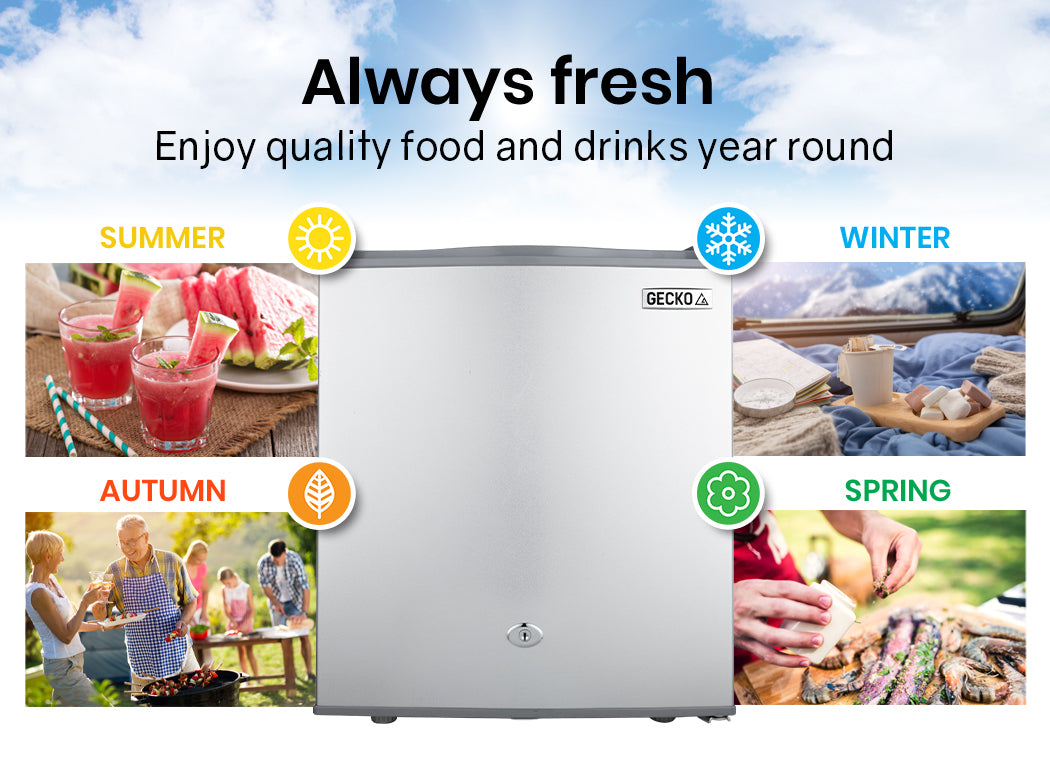 57L Portable Fridge Freezer, 8L Freezer, 3-Stage Battery Protection, Gecko