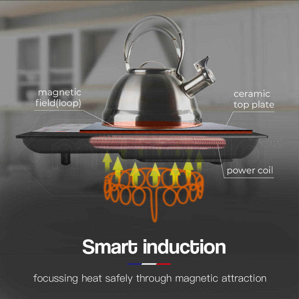 EuroChef Portable Dual Induction Cooktop Ceramic Black 15A Plug