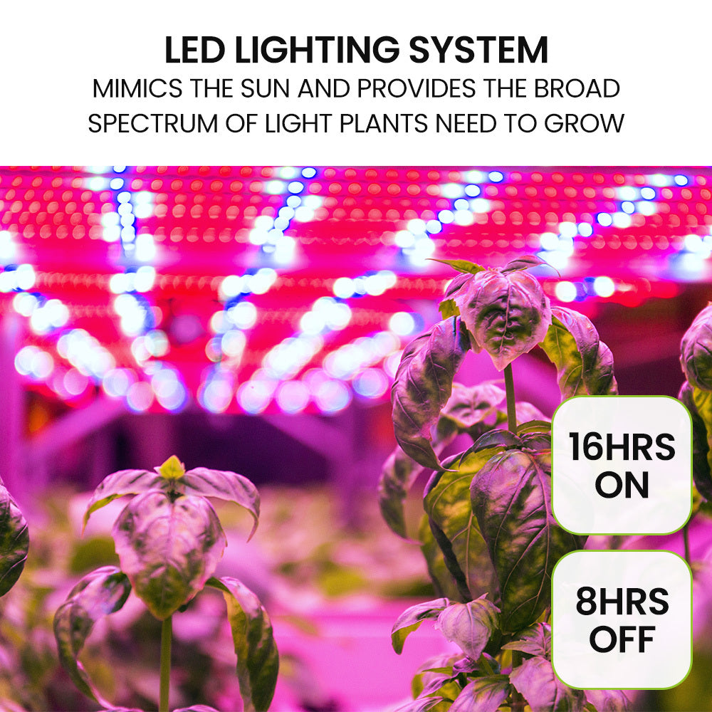 Automatic LED 8 Pod Hydroponic System, 3L Tank, PlantCraft