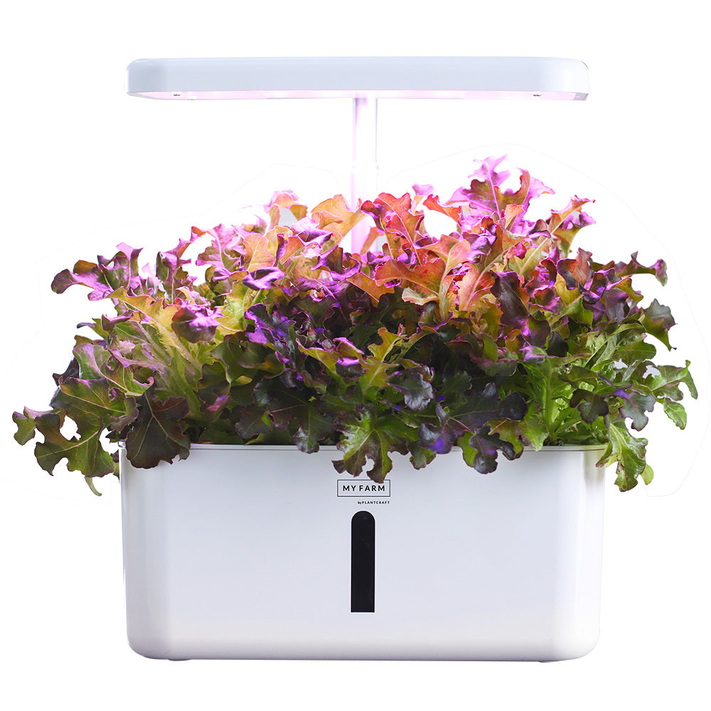 8 Pod Automatic Hydroponic System, LED Lights, 3L Tank, PlantCraft