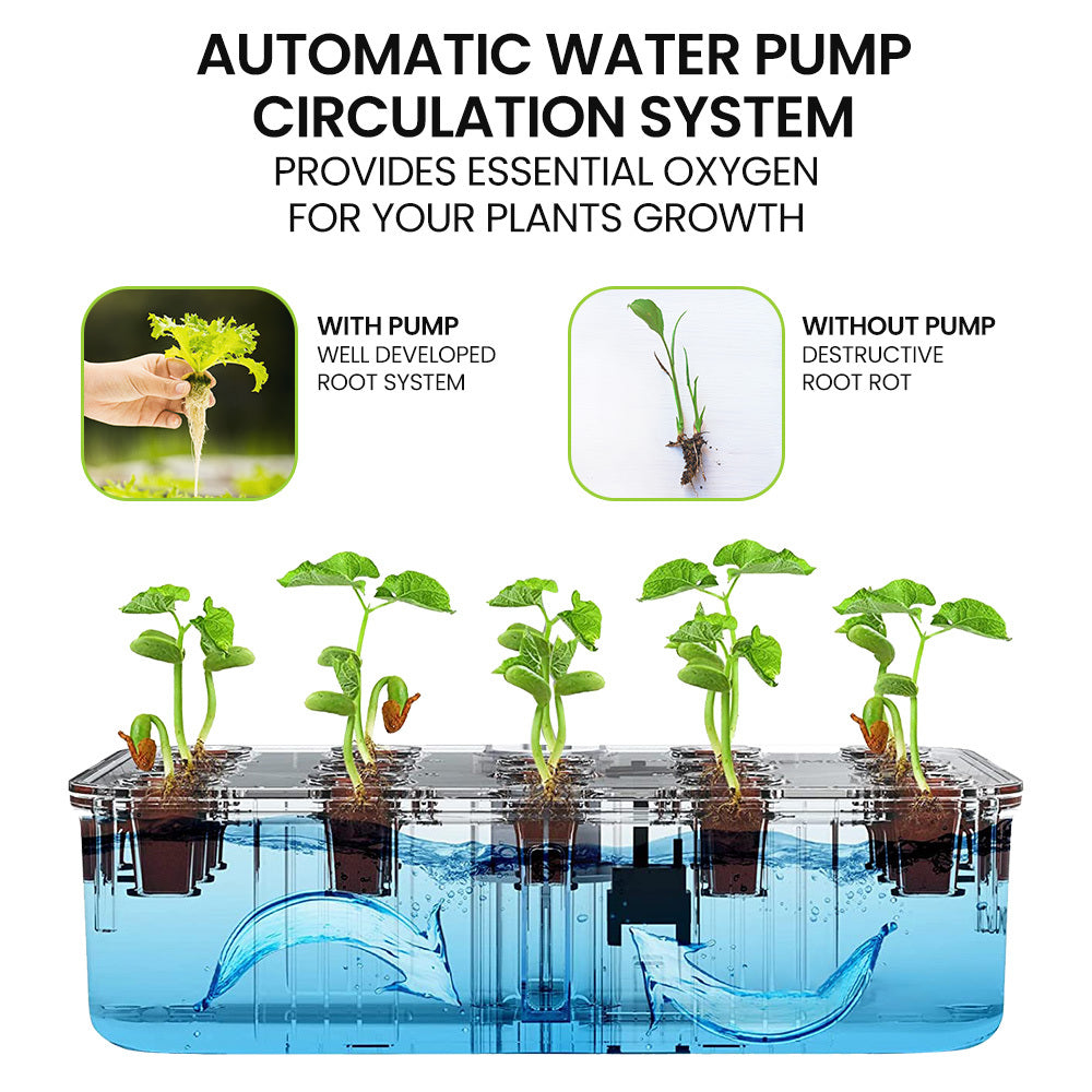 PLANTCRAFT 12 Pod Indoor Hydroponic Growing System, with Water Level Window & Pump, Black
