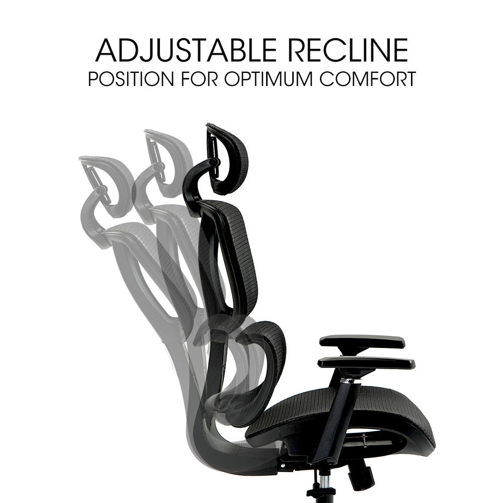 Ergosi Ergonomic Office Chair Black Mesh Adjustable Lumbar and Headrest
