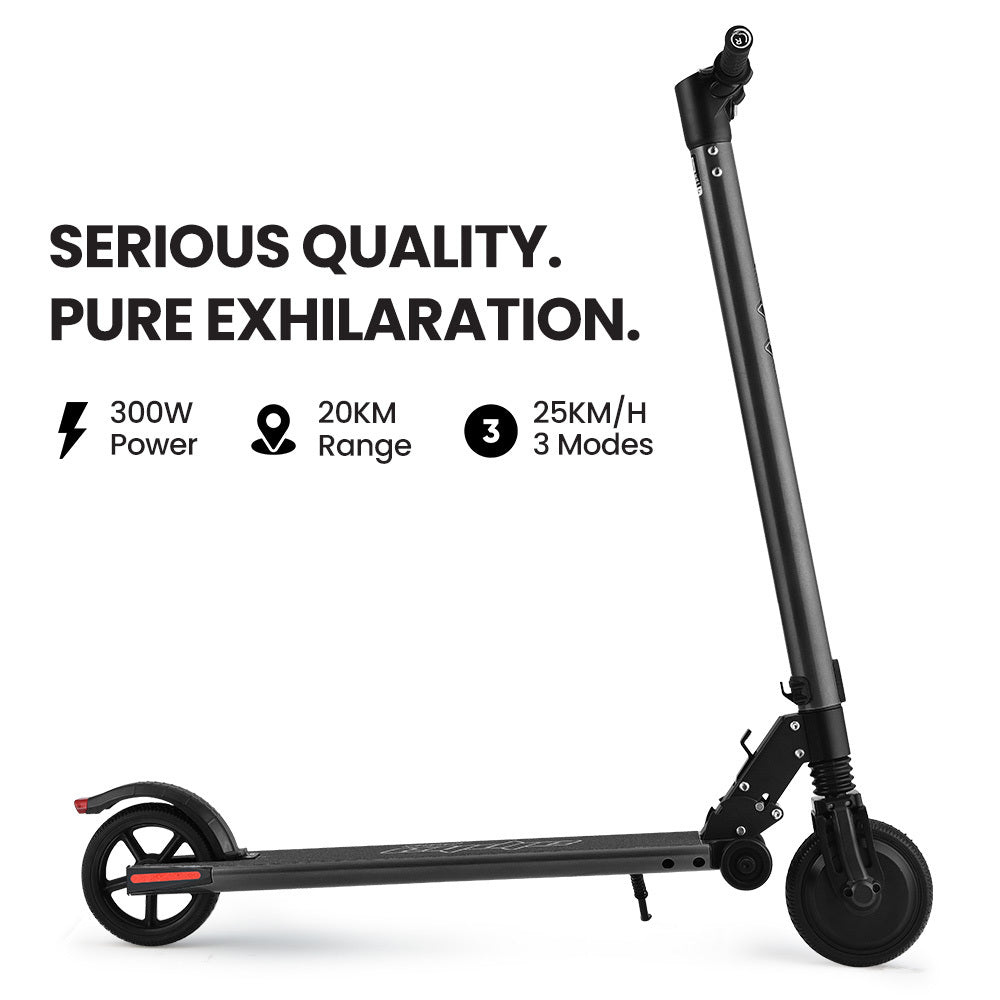 300W 10Ah Electric Scooter, LED Display, Suspension, Black - Alpha