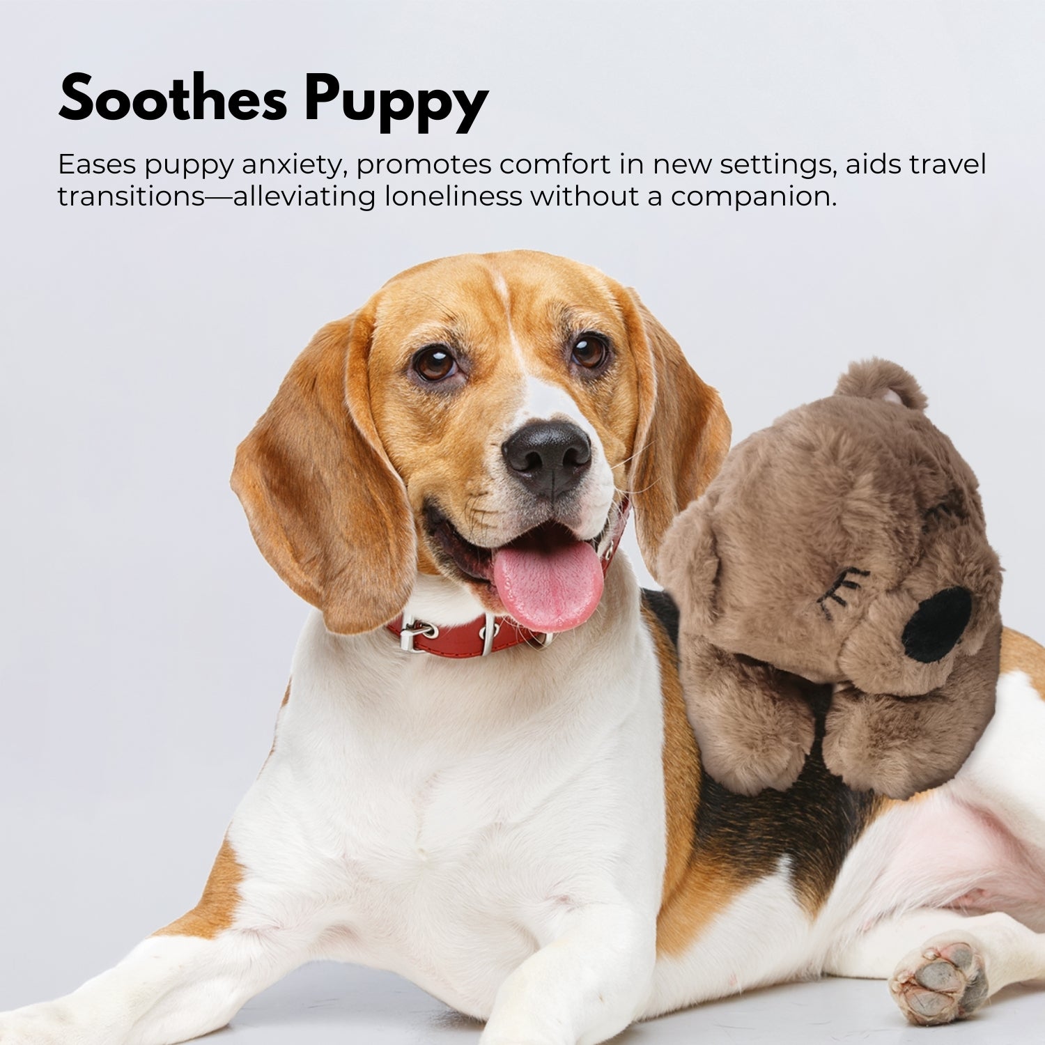FLOOFI Pets Soft Plush Toy(Brown)