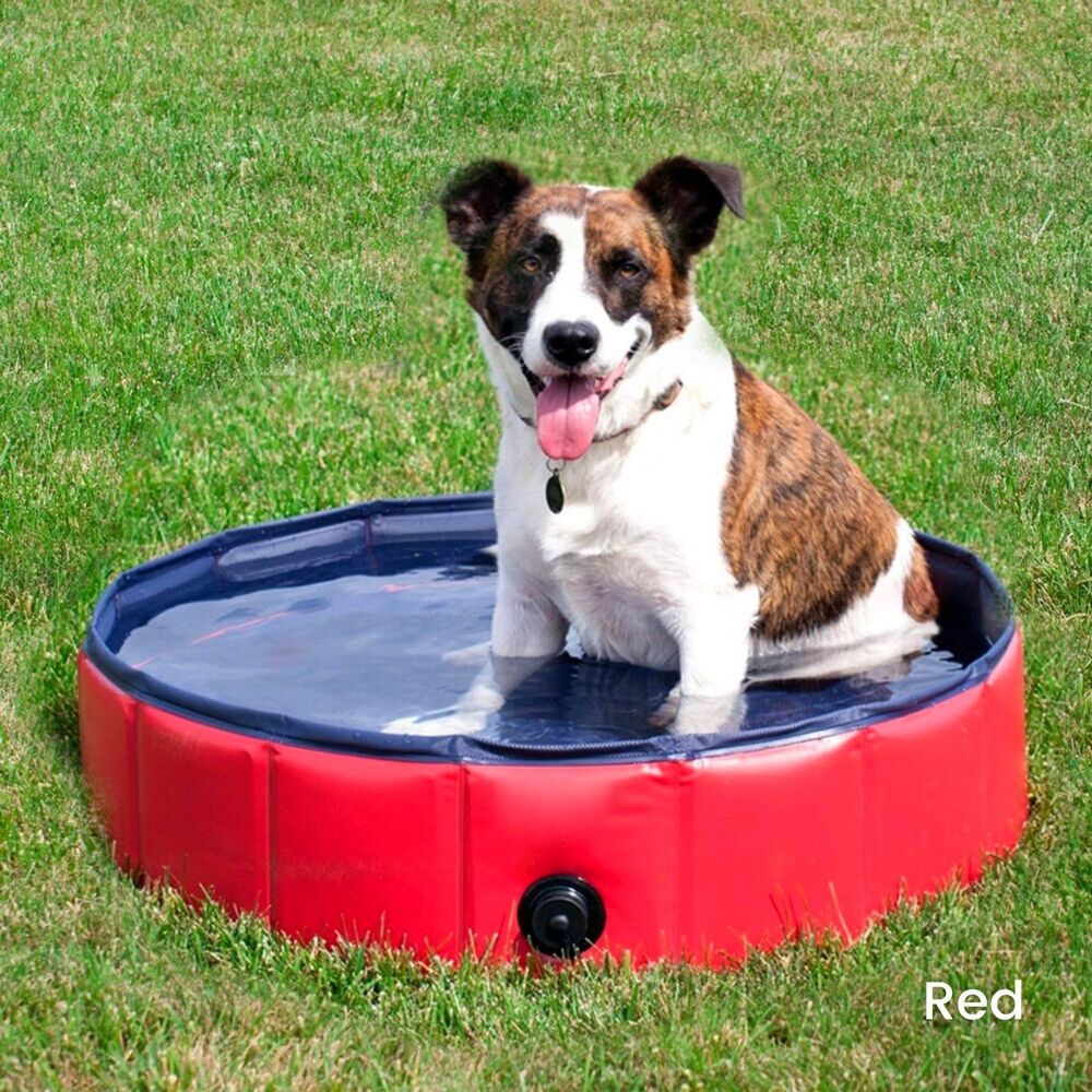 Floofi Pet Pool 160cm*30cm Red XXL