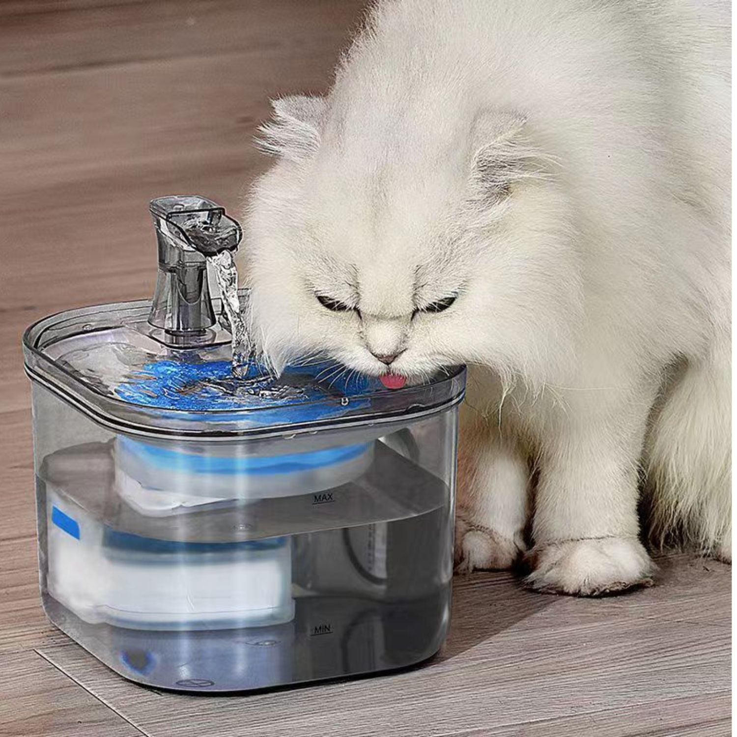 2L Transparent Pet Water Fountain, 3-Layer Filtration - Floofi