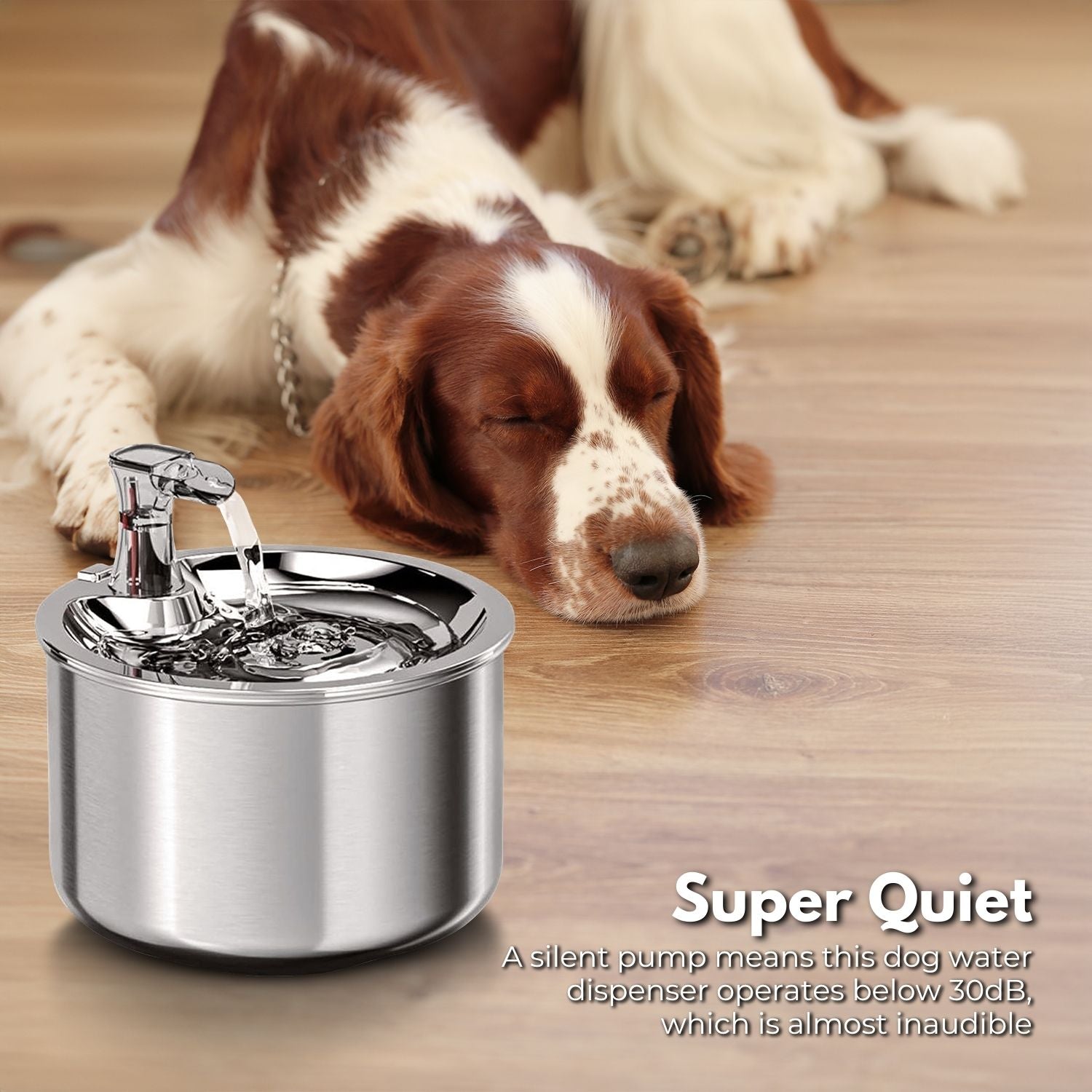 Super Quiet 2L Pet Water Fountain - Food Grade Stainless Steel, Adjustable Flow - Floofi