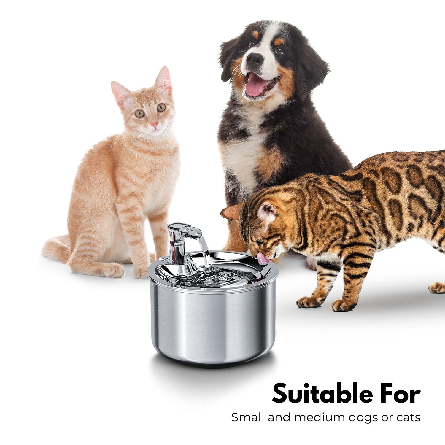 Super Quiet 2L Pet Water Fountain - Food Grade Stainless Steel, Adjustable Flow - Floofi