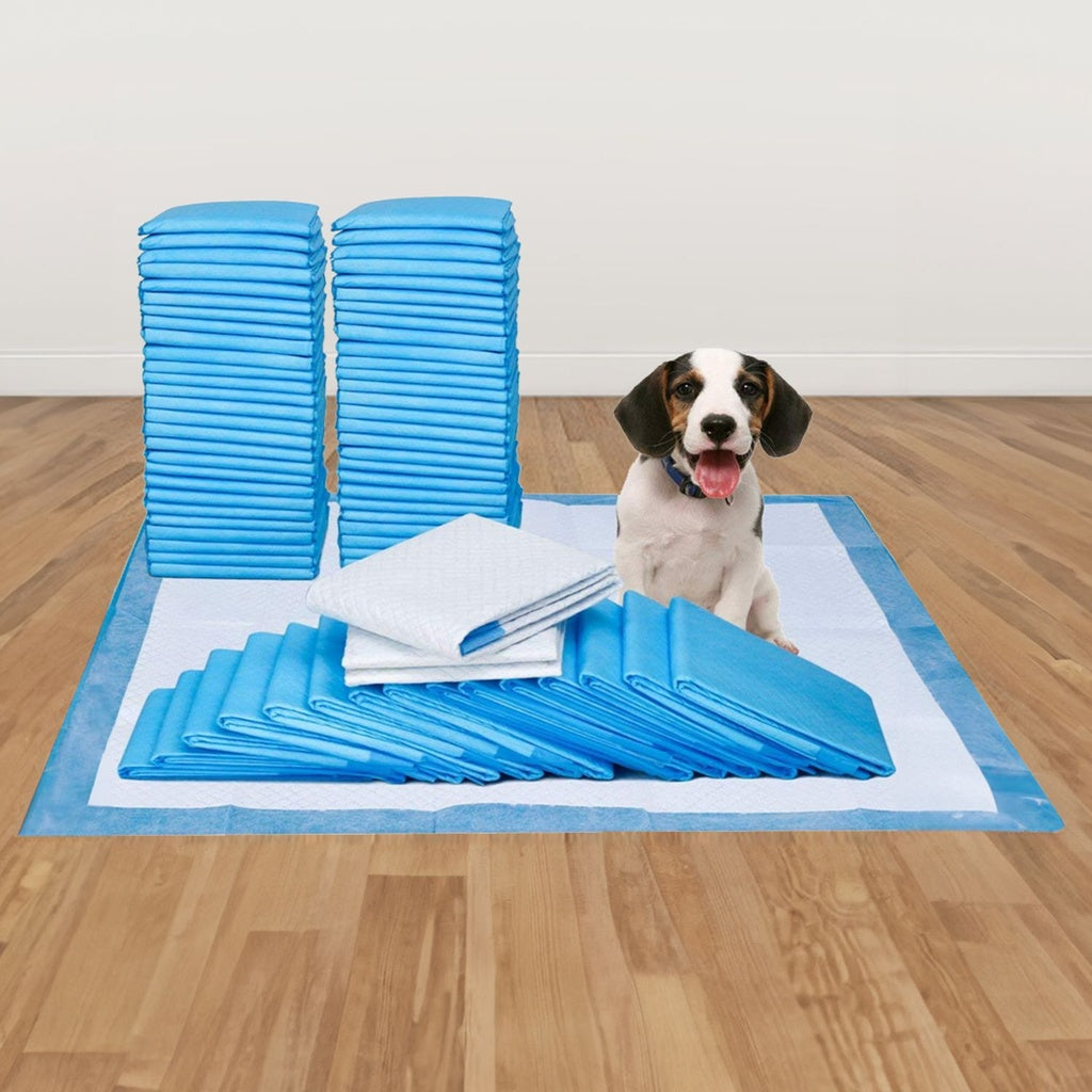 Super Absorbent 100pcs Puppy Training Pads, Anti-Leak, Floofi