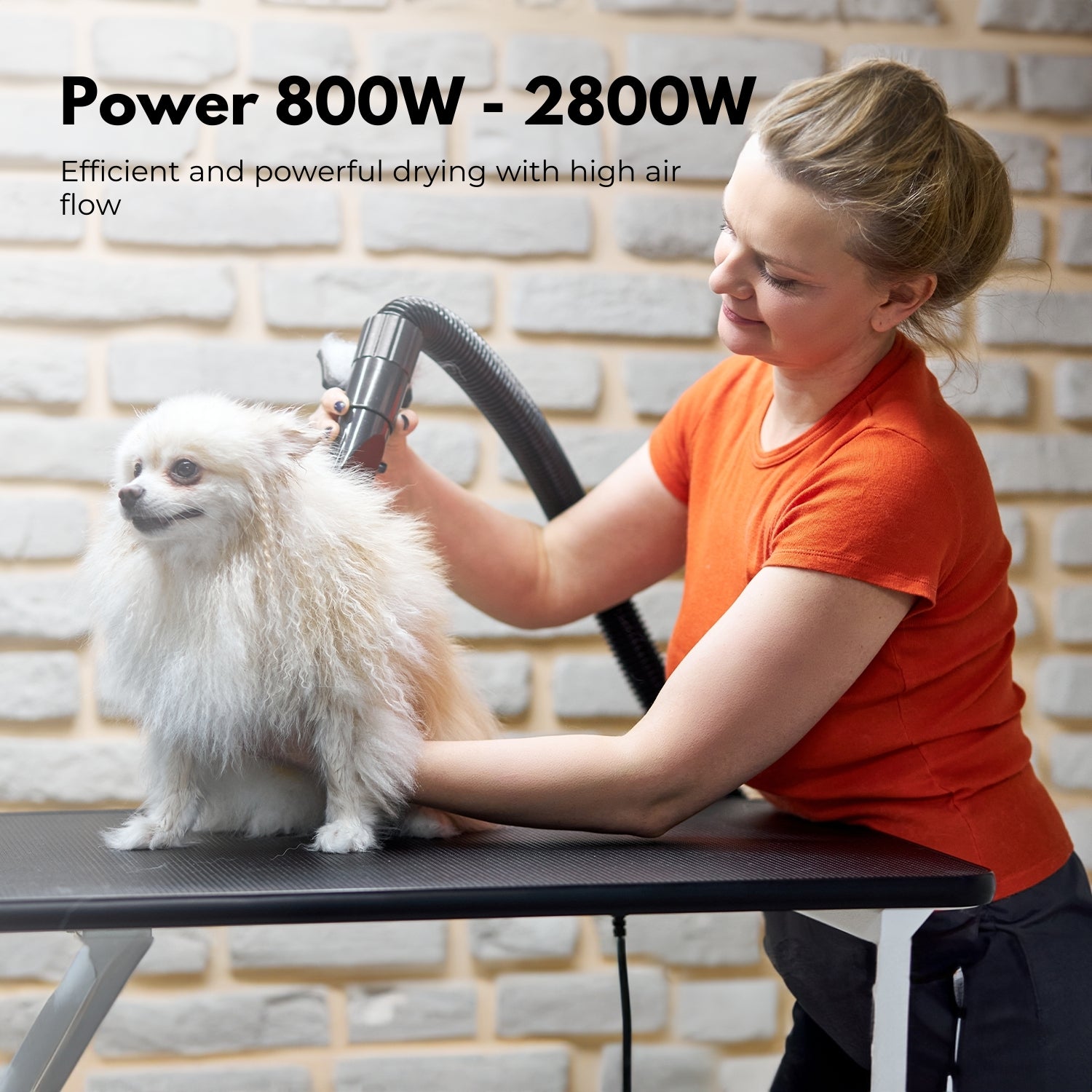 Versatile Pet Hair Dryer, Heat Protection, Low Noise - Floofi