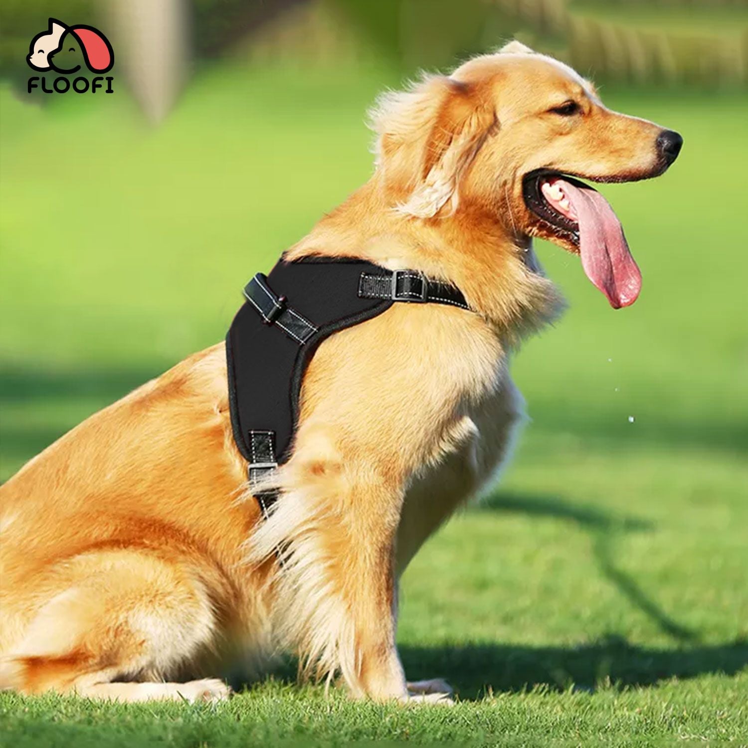 FLOOFI Dog Harness XXL Size (Black)