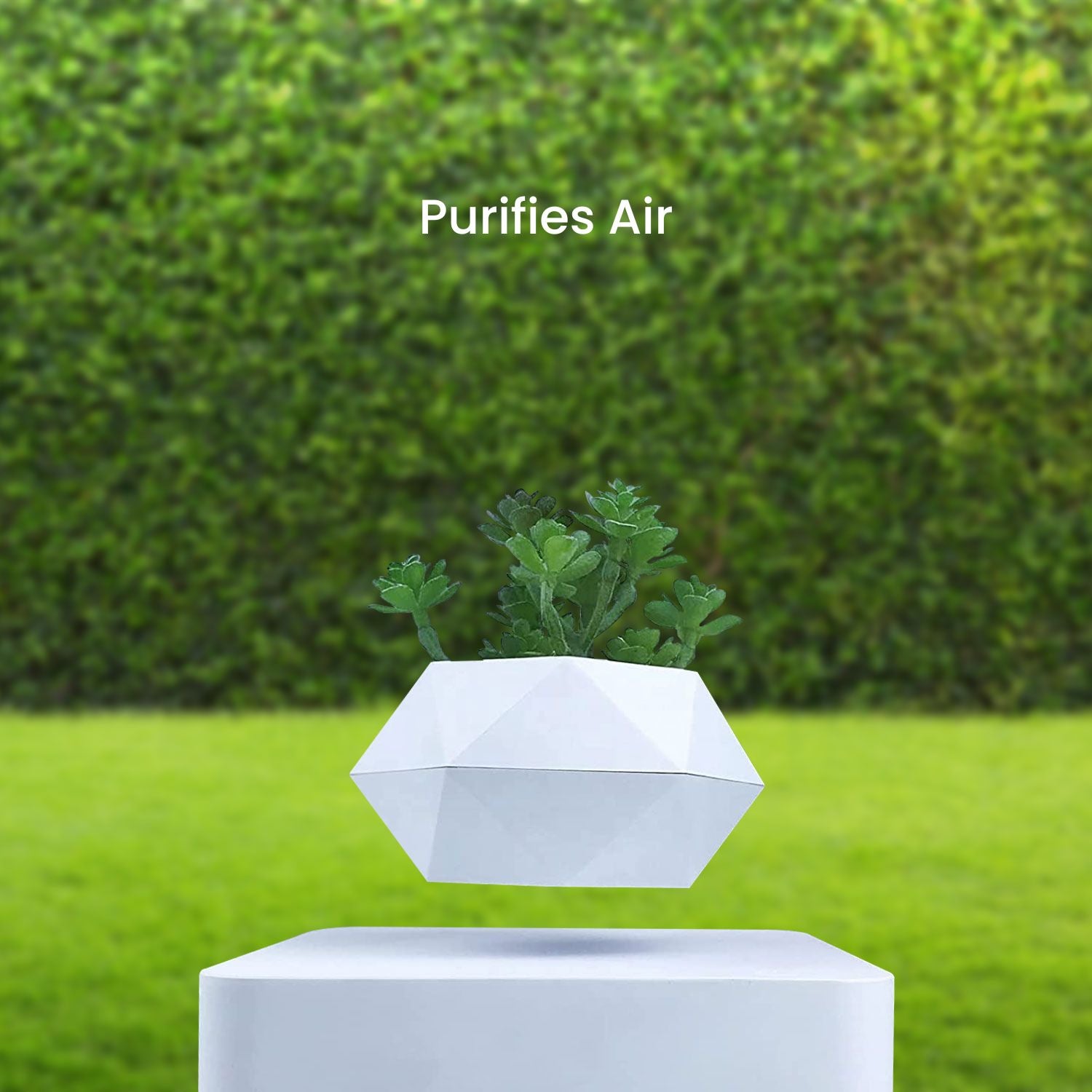 Magnetic Levitating Plant Pot, Lightweight, 360° Auto Rotate - GOMINIMO