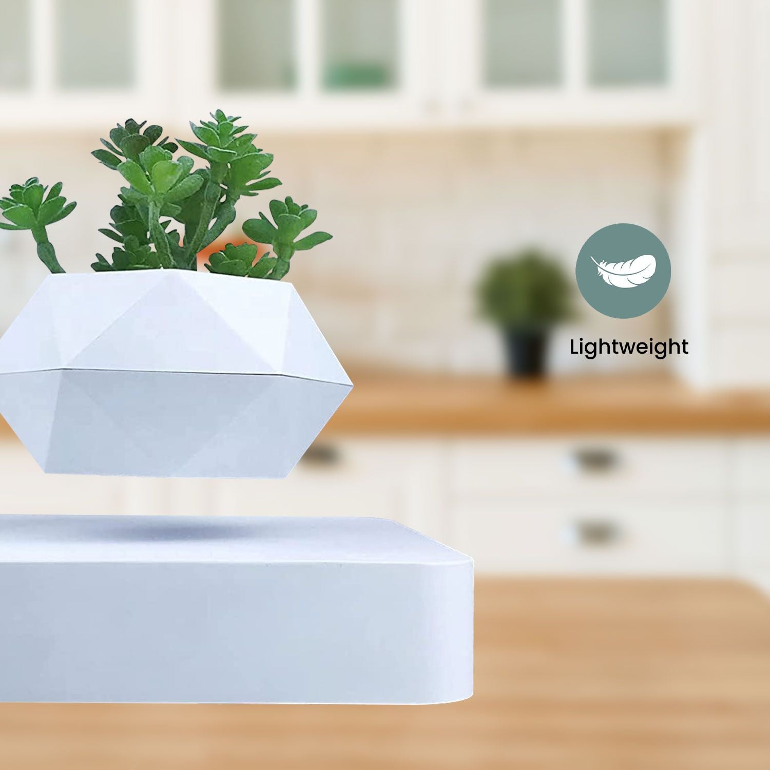 Magnetic Levitating Plant Pot, Lightweight, 360° Auto Rotate - GOMINIMO