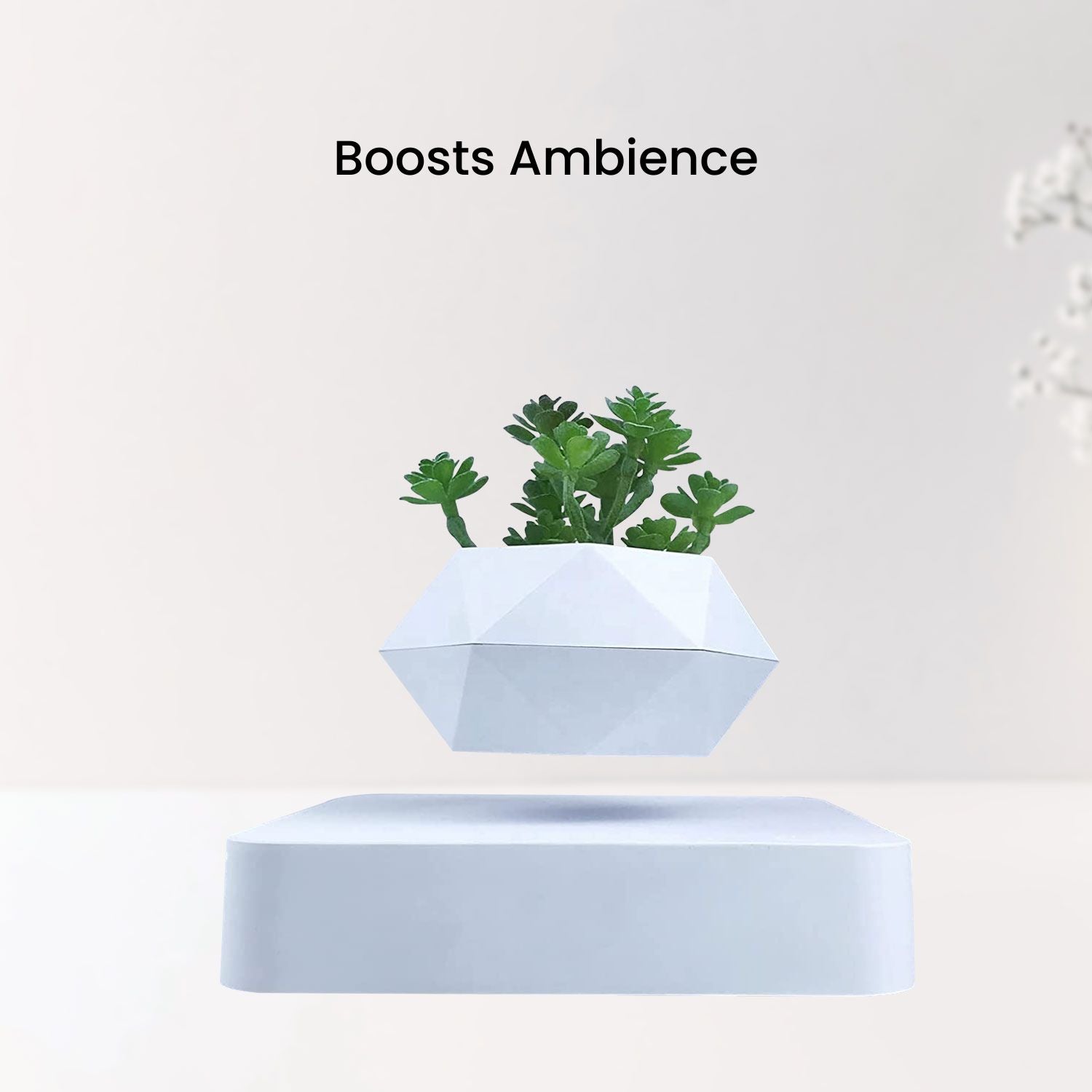 Magnetic Levitating Plant Pot, Lightweight, 360° Auto Rotate - GOMINIMO