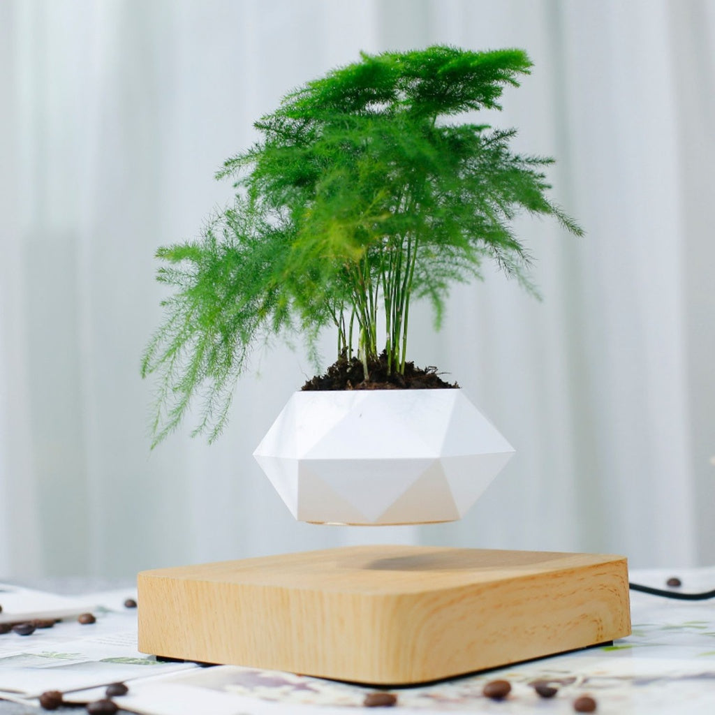 Magnetic Levitating Plant Pot Set, Geometric - GOMINIMO