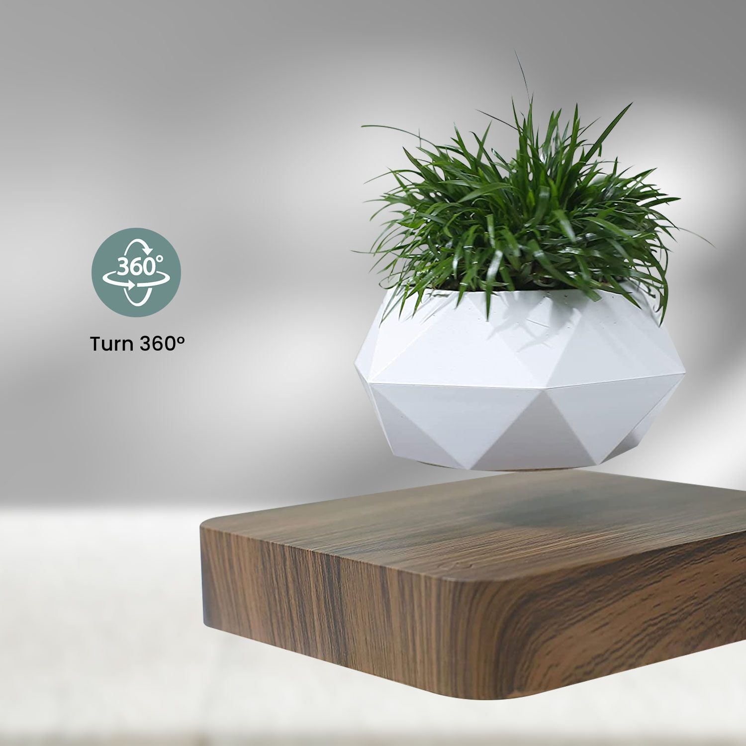 Lightweight Magnetic Levitating Plant Pot, Dark Brown Base