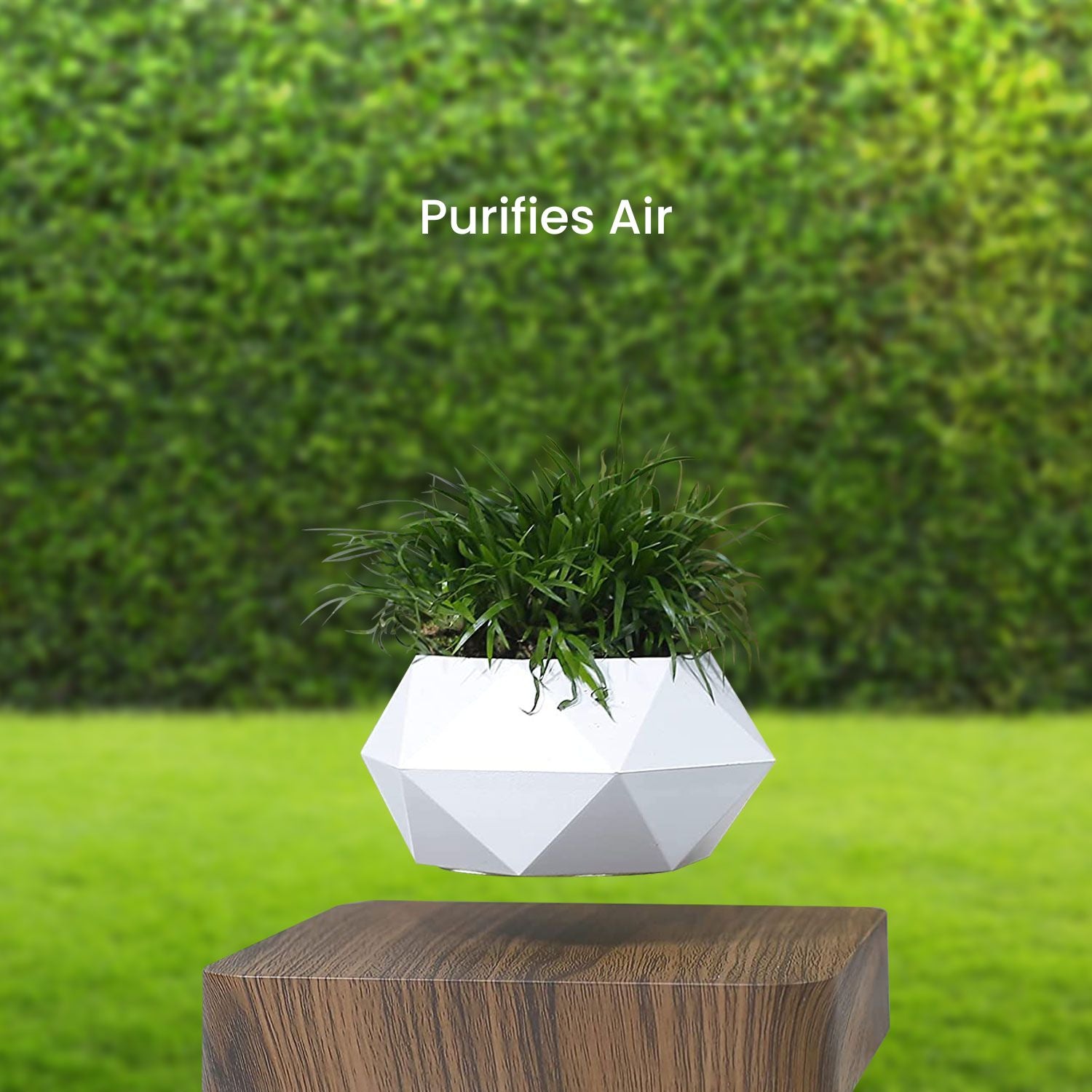 Lightweight Magnetic Levitating Plant Pot, Dark Brown Base