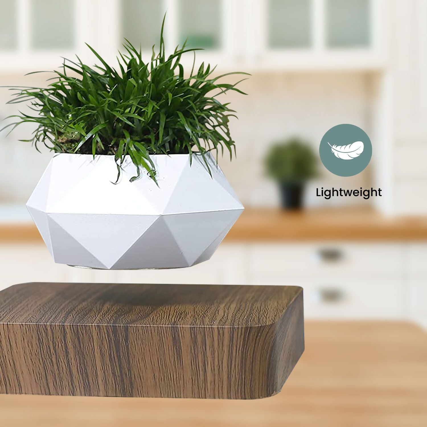 Lightweight Magnetic Levitating Plant Pot, Dark Brown Base